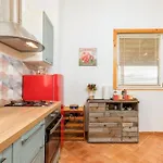Apartment And Holiday Home Mladenka